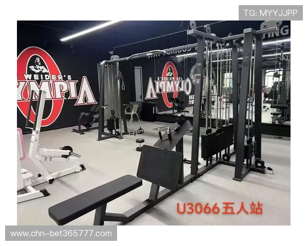 U体育官方旗舰店多样化运动器材与健身用品满足家庭健身和专业训练的多重需求